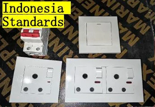 Indonesia Standard